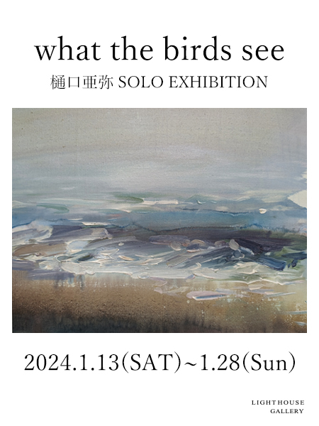 樋口亜弥「what the birds see」のPR用ビジュアル